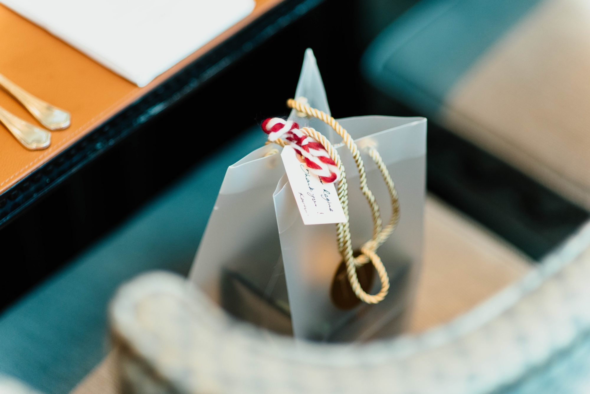 Gift in a Bag